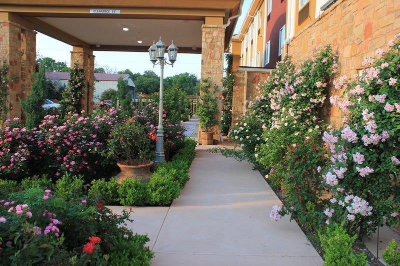 Blanco River Hotel Exterior foto